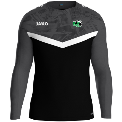 Afbeeldingen van Sweater Iconic - TRAINERS
